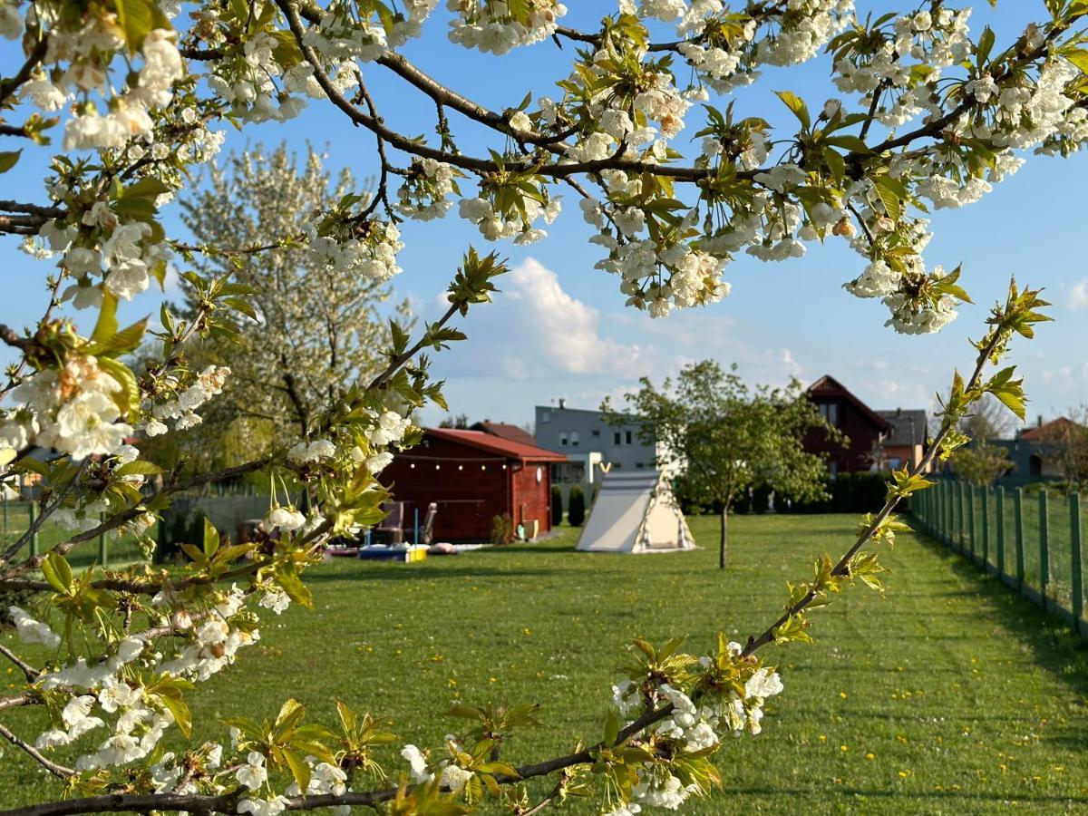 54 Green Road Varazdin Kucan Marof Экстерьер фото